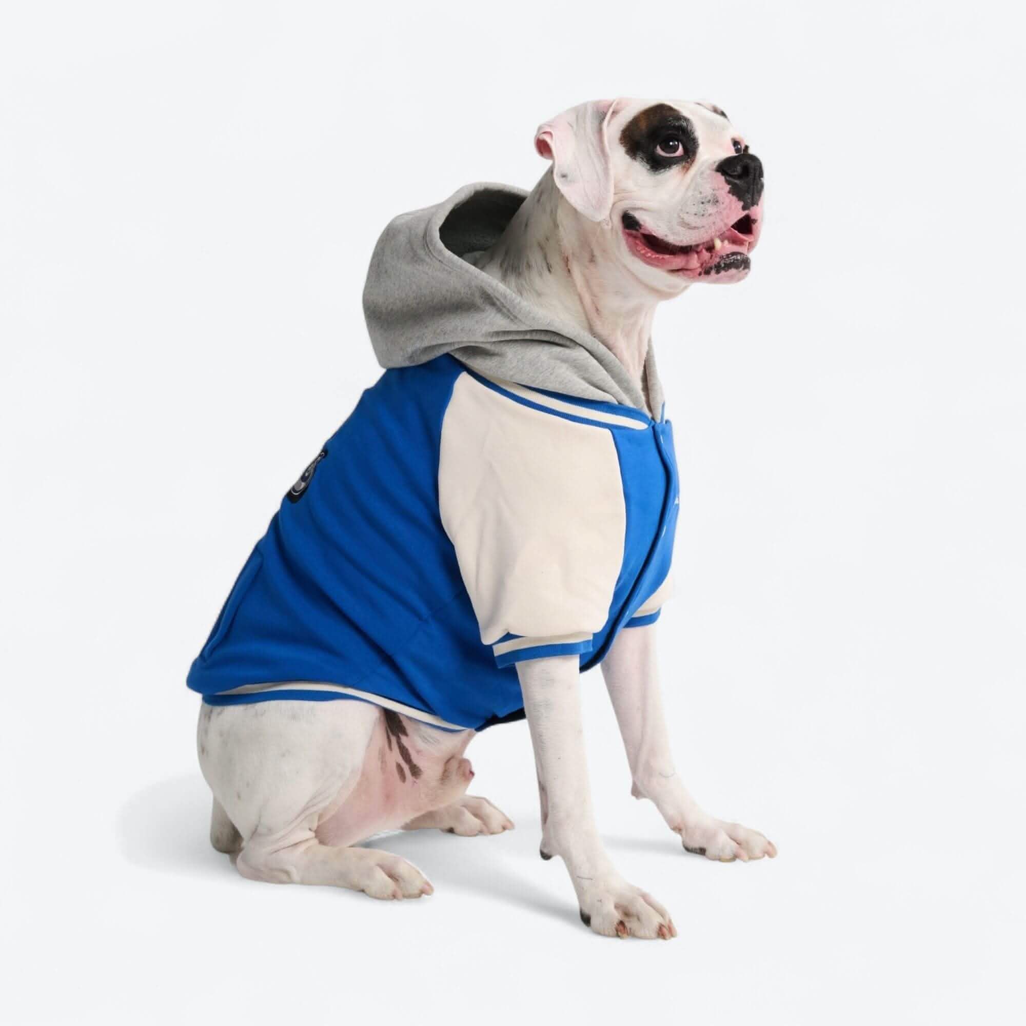 Dog Varsity Jackets