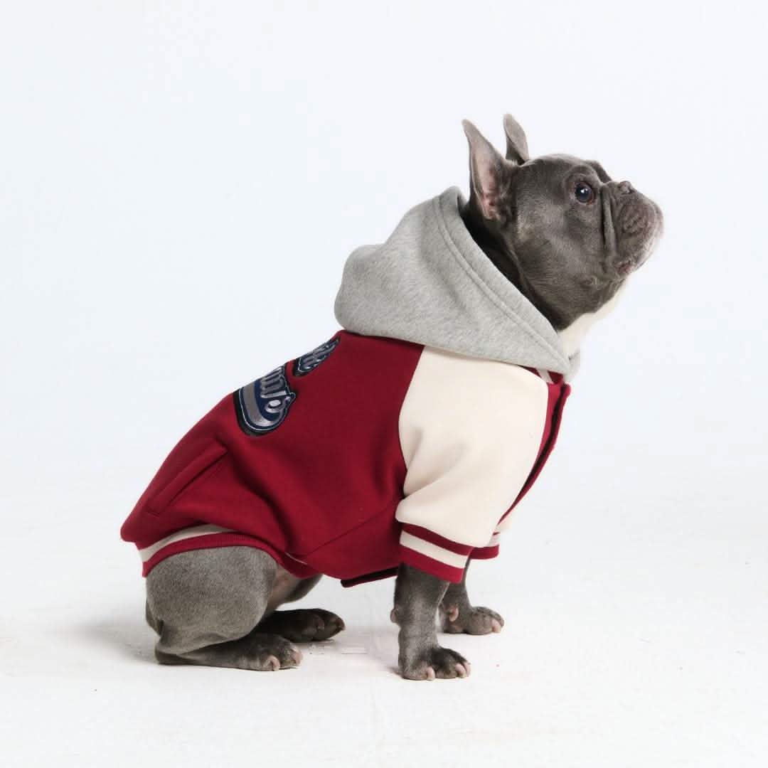 Dog Varsity Jackets