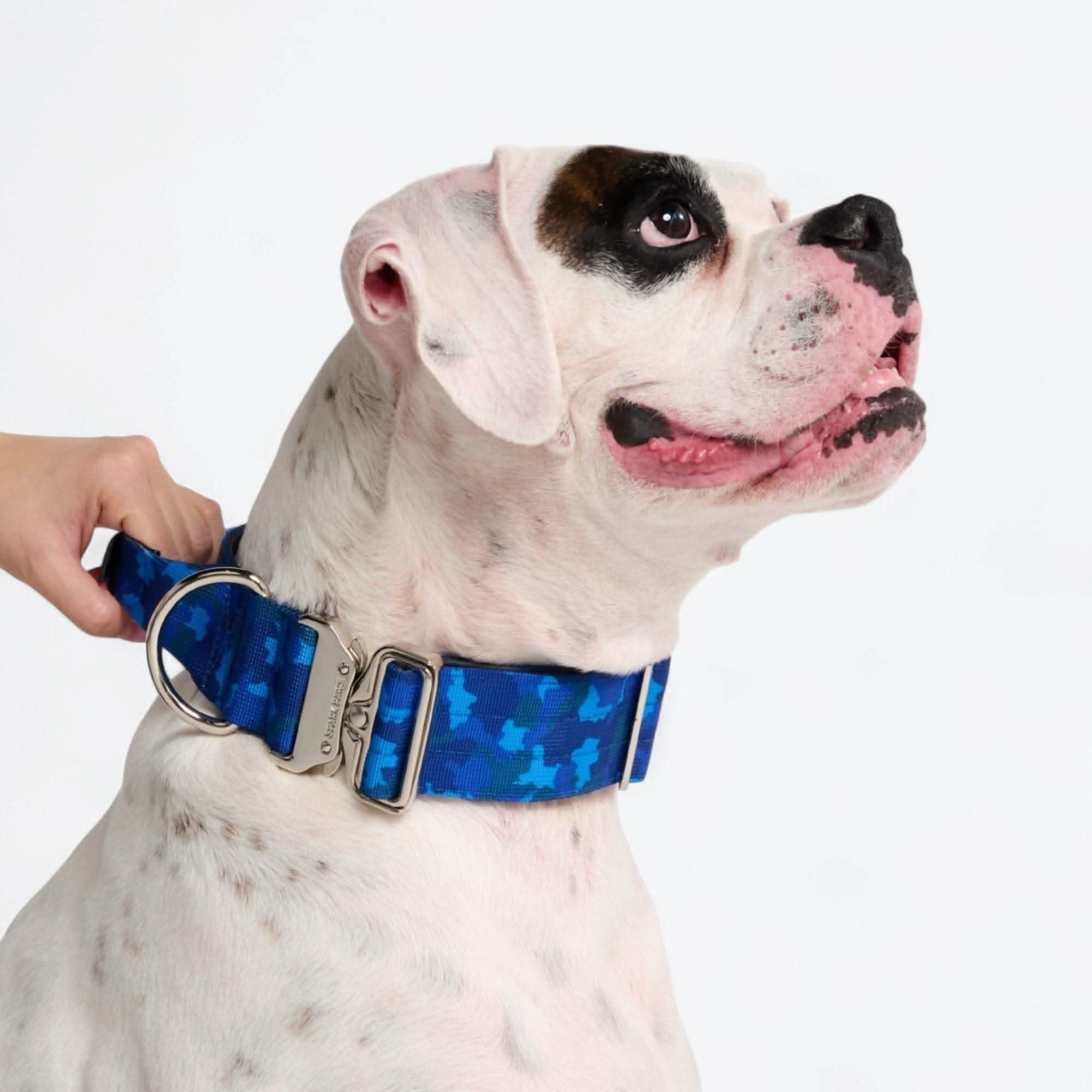 Comfort Control Dog Collar Sets