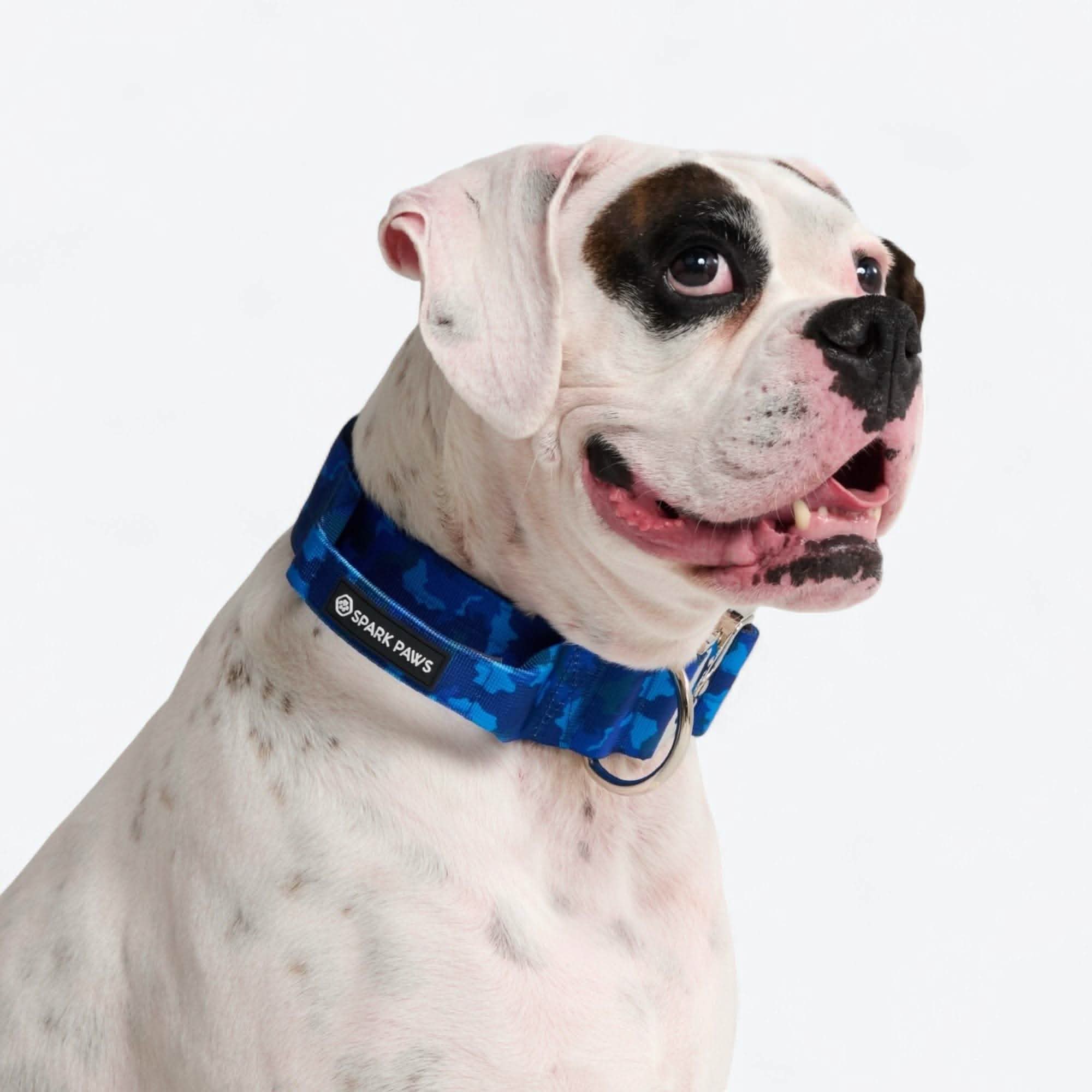 Comfort Control Dog Collar Sets