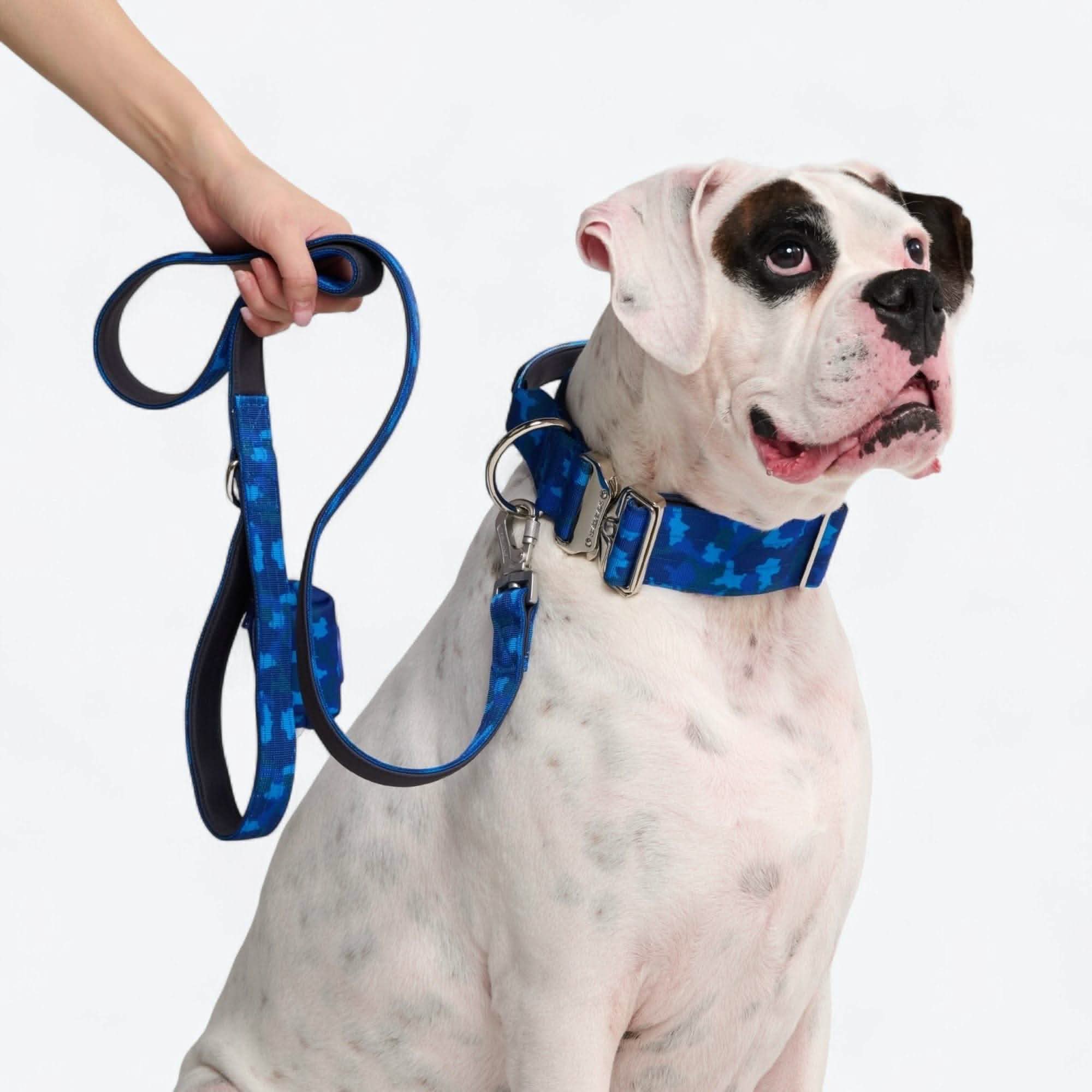 Leash and Poop Bag Holder Set