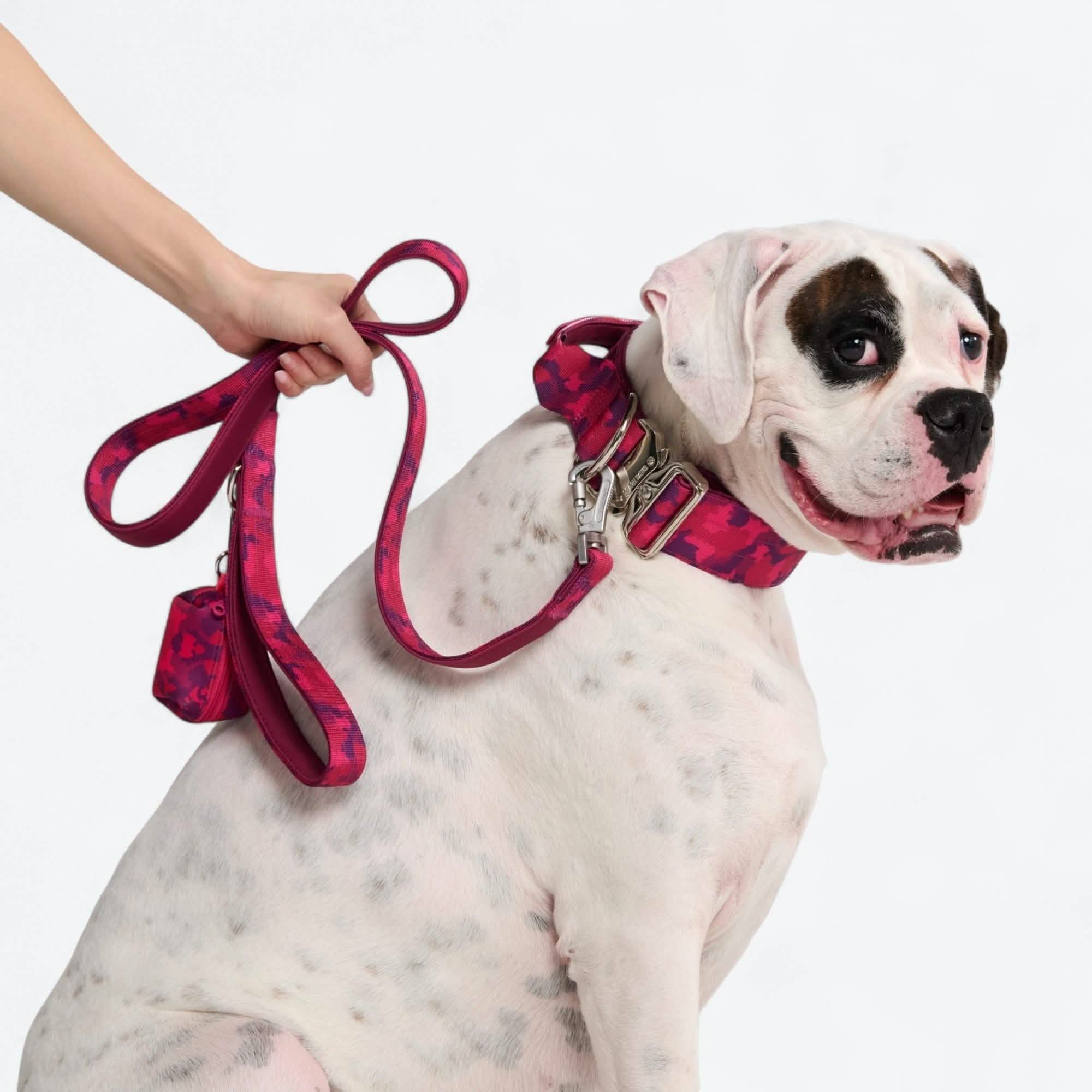 Leash and Poop Bag Holder Set - Fuchsia Camo