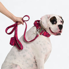 Leash and Poop Bag Holder Set - Fuchsia Camo