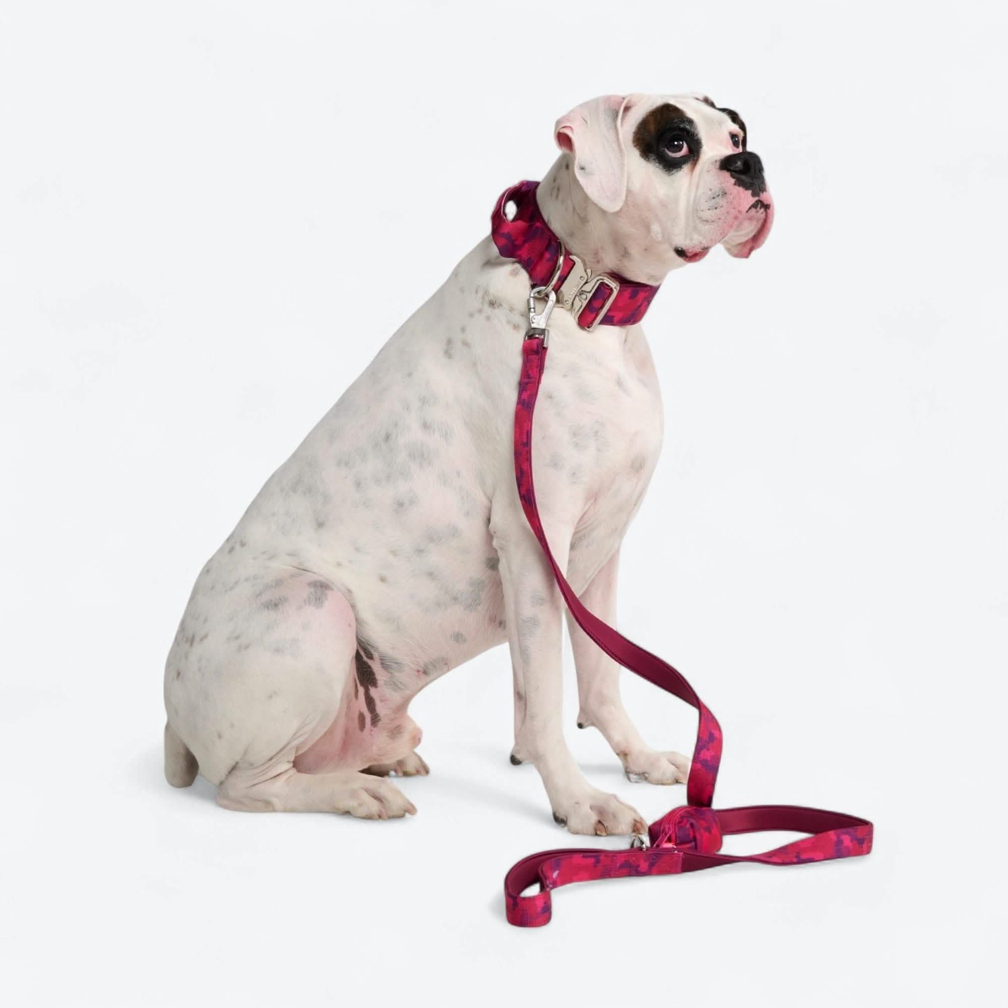Leash and Poop Bag Holder Set - Fuchsia Camo