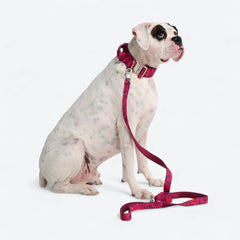 Leash and Poop Bag Holder Set - Fuchsia Camo