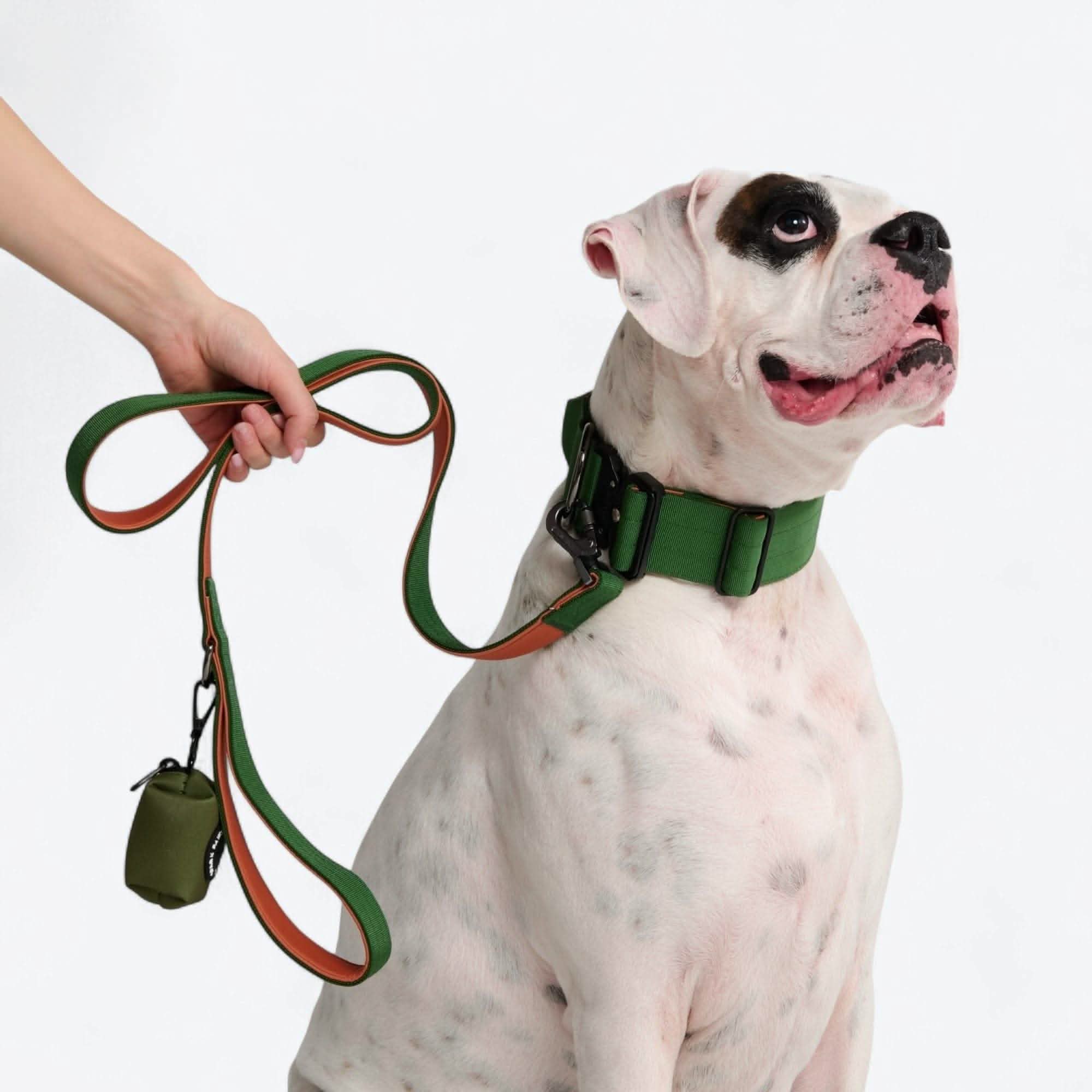 Leash and Poop Bag Holder Set