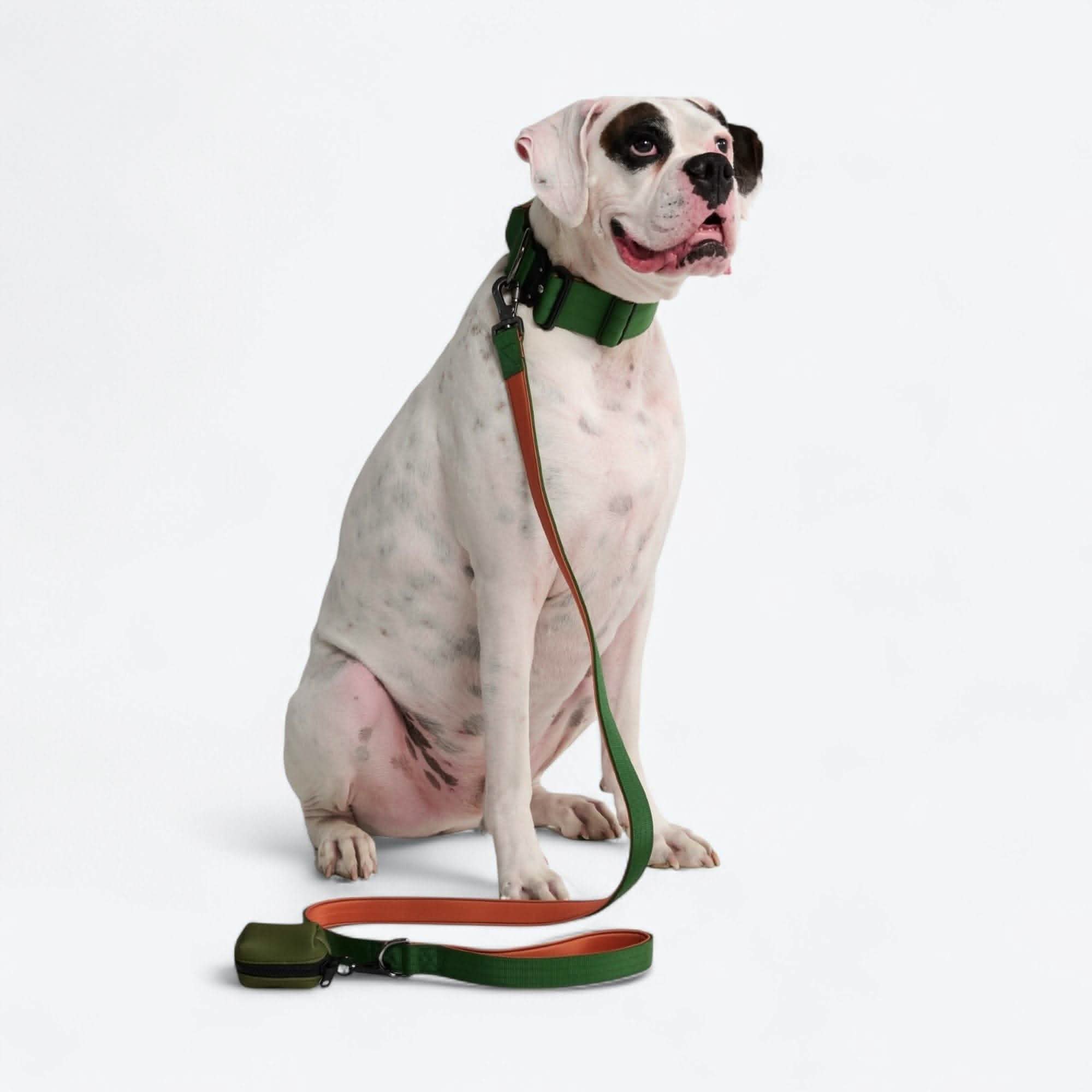 Leash and Poop Bag Holder Set