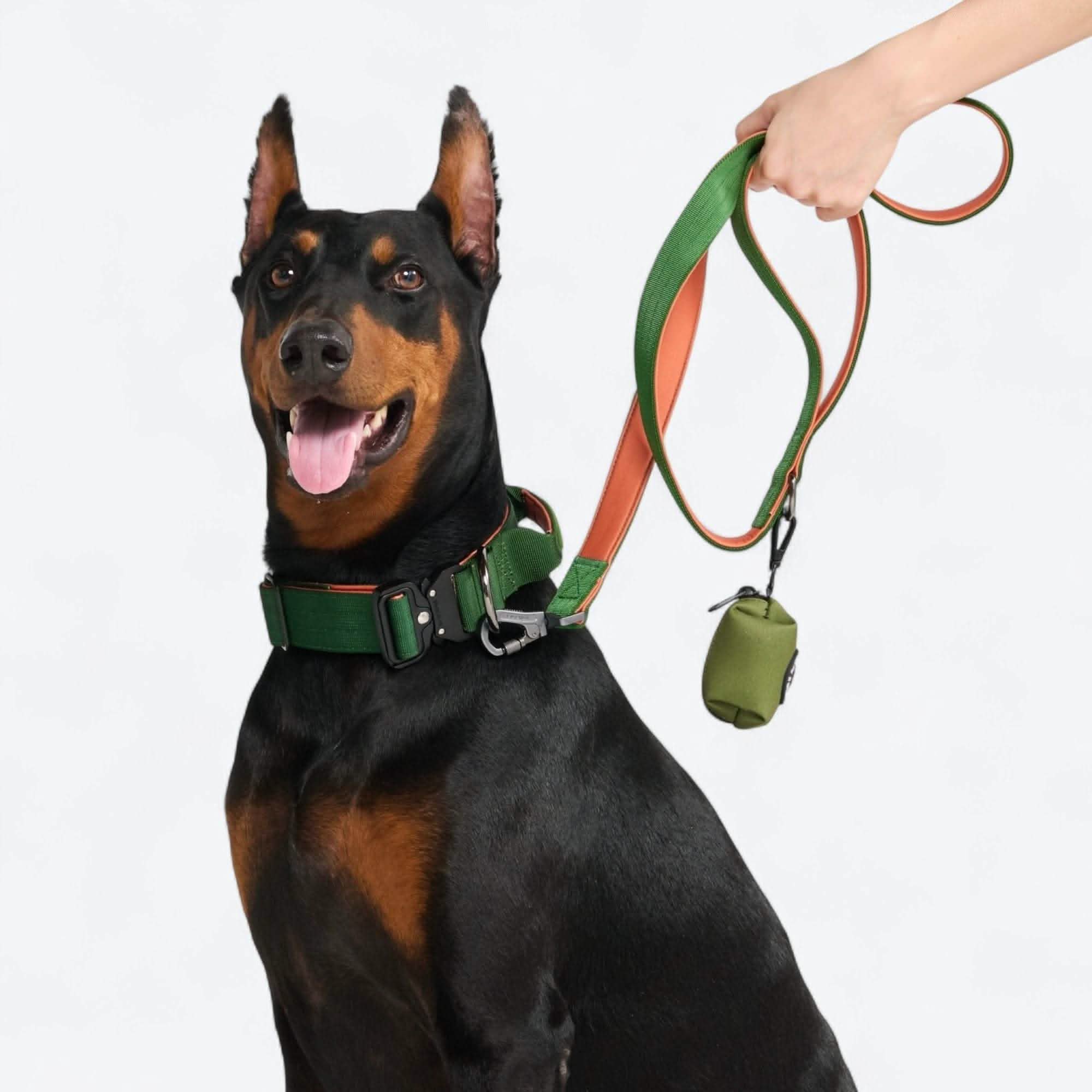 Comfort Control Dog Collar Sets