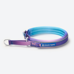 Martingale Dog Collars