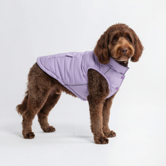 WarmShield Water-Resistant Jacket - Lilac