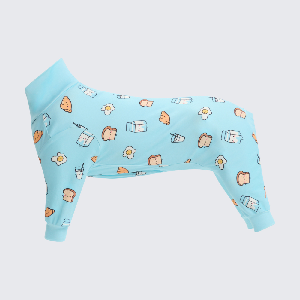 Dog Pajama Prints