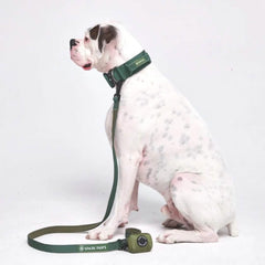 Leash and Poop Bag Holder Set - Army Green