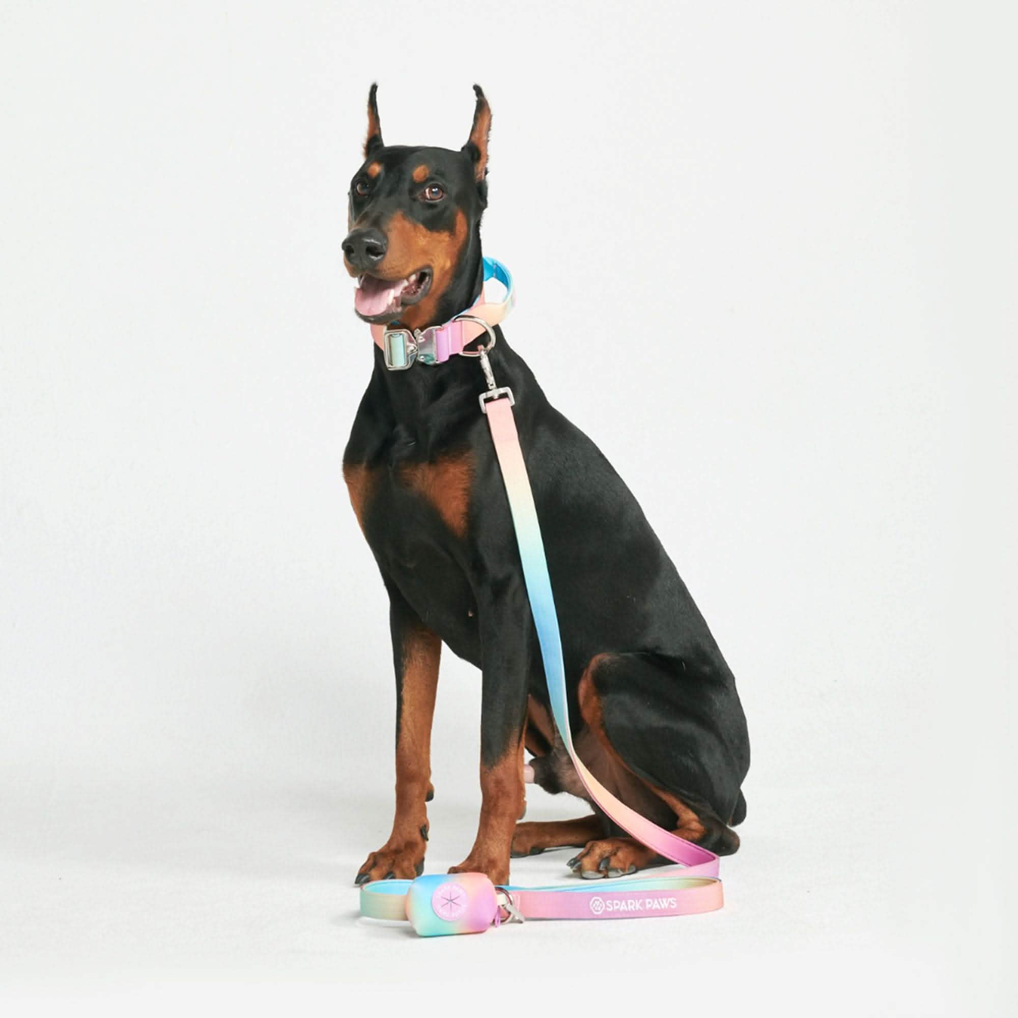 Leash and Poop Bag Holder Set