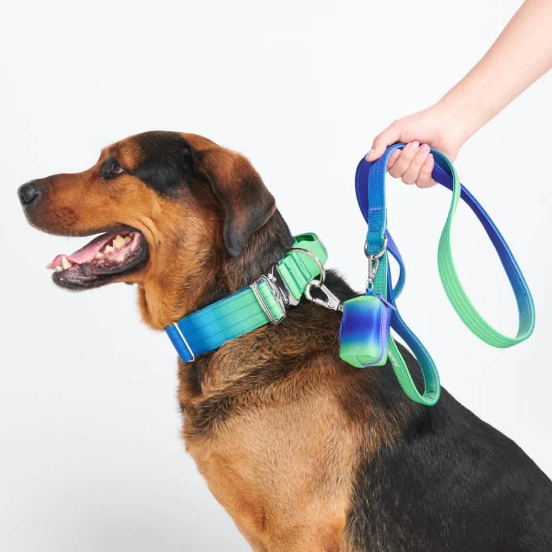 Leash and Poop Bag Holder Set