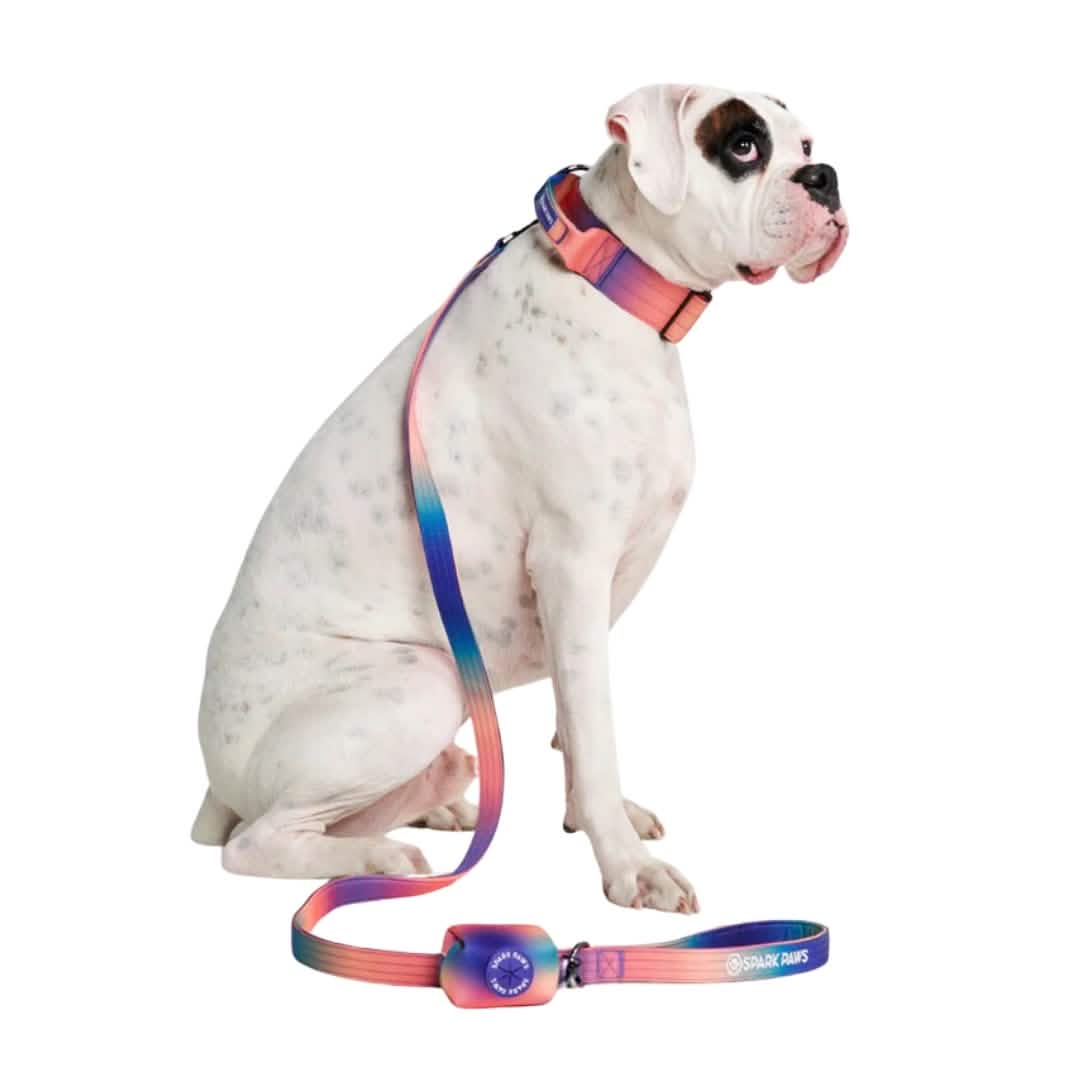 Leash and Poop Bag Holder Set