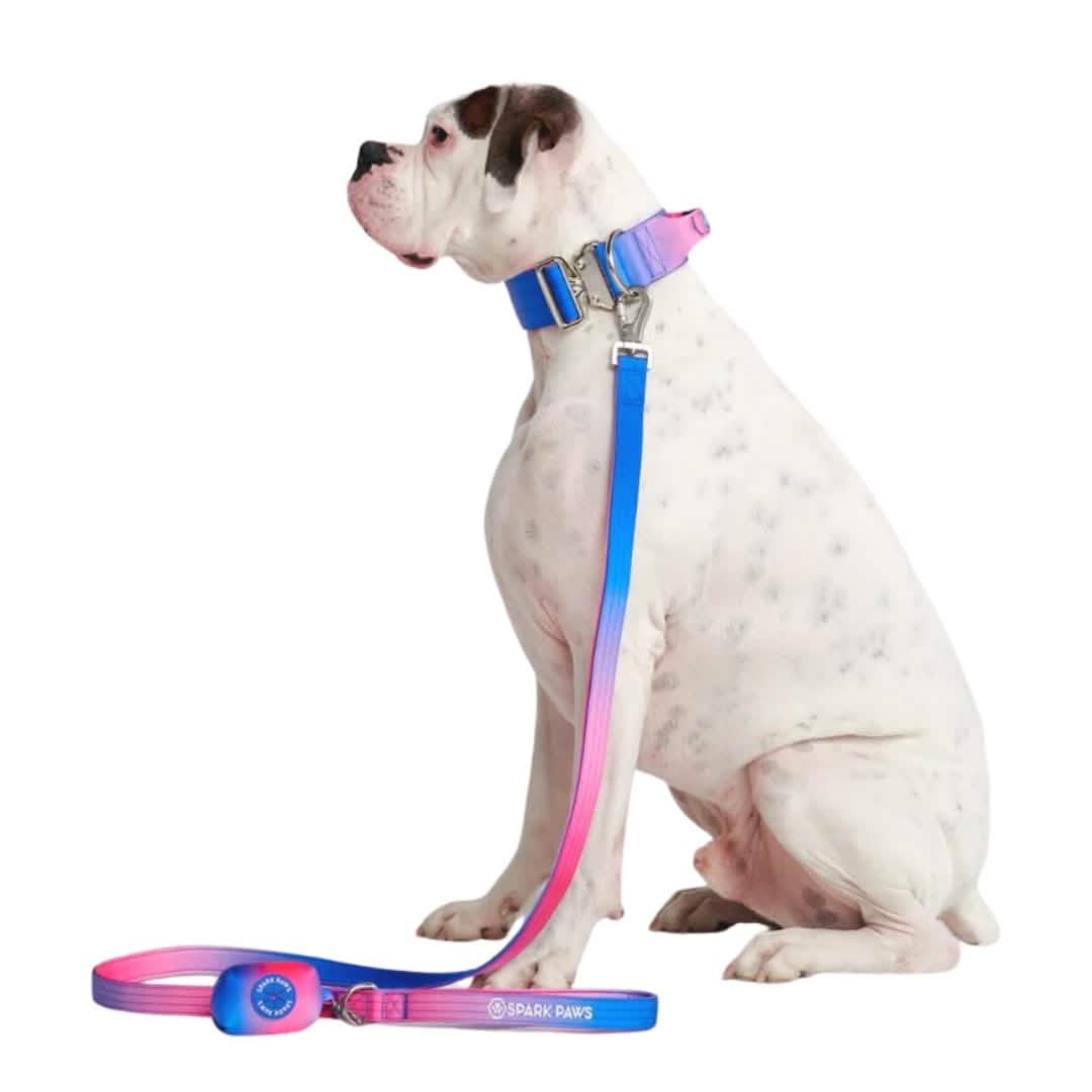 Leash and Poop Bag Holder Set