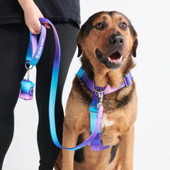 Leash and Poop Bag Holder Set - 90s Retro