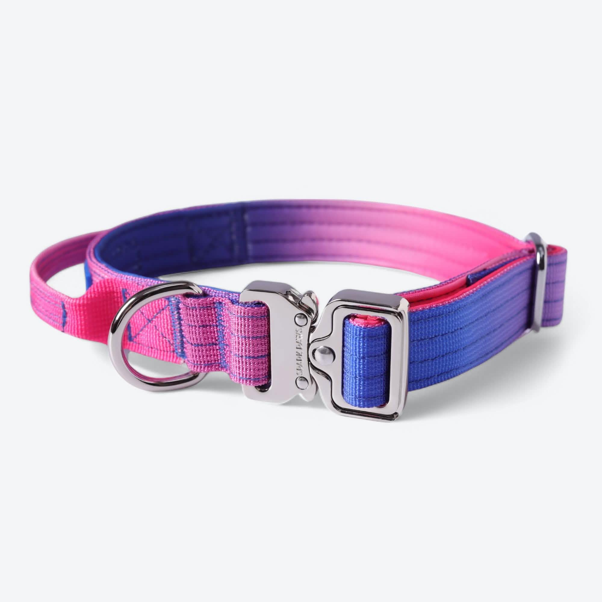 Comfort Control Dog Collar Sets