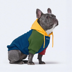 Primary Color Block Dog Hoodie