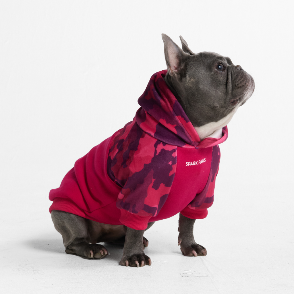 Fuchsia Camo Dog Hoodie