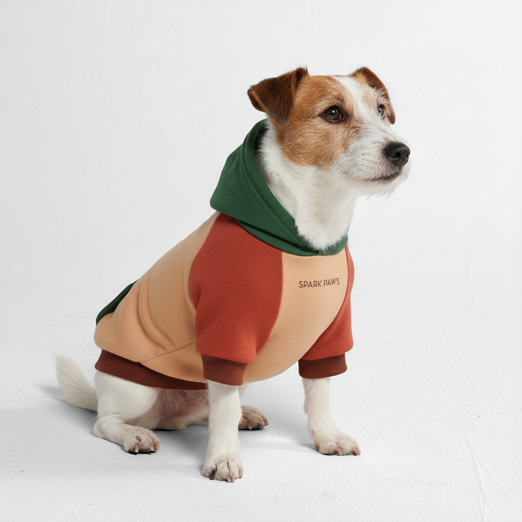 Ranger Dog Hoodie