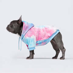 Velvet Dog Hoodie - Snow Cone