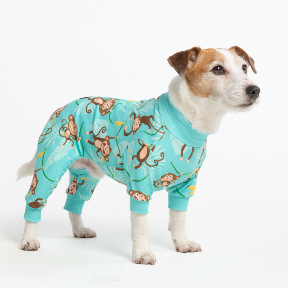 Dog Pajama Prints