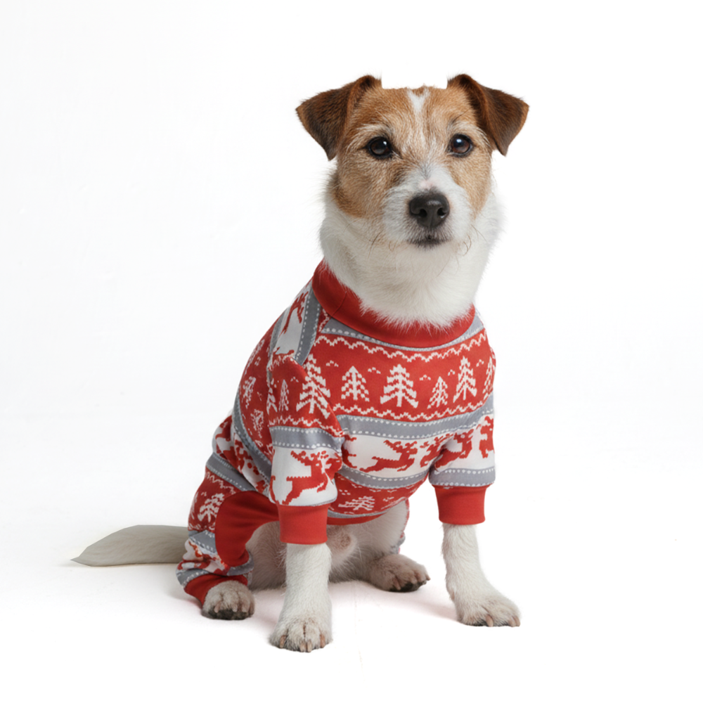 Dog Christmas Pajama - Winter Wonderland