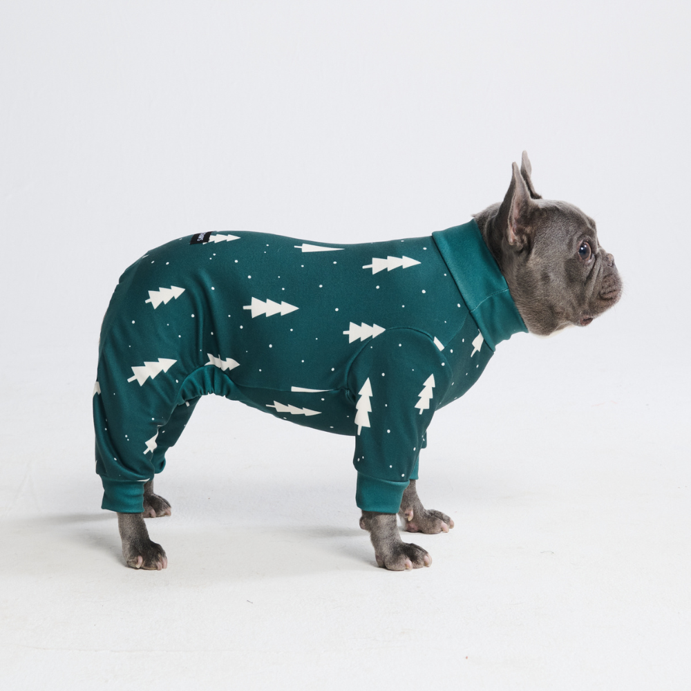 Dog Christmas Pajamas