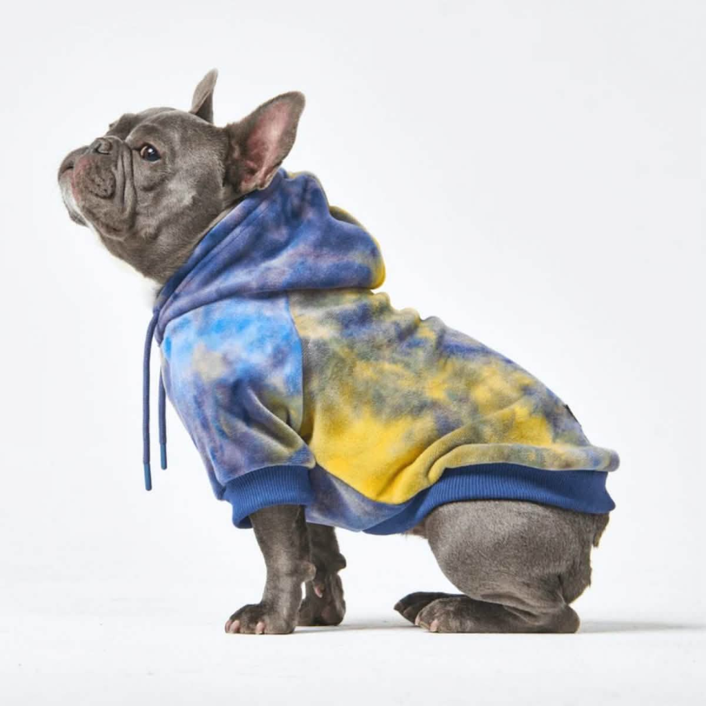 Velvet Dog Hoodie - Nova