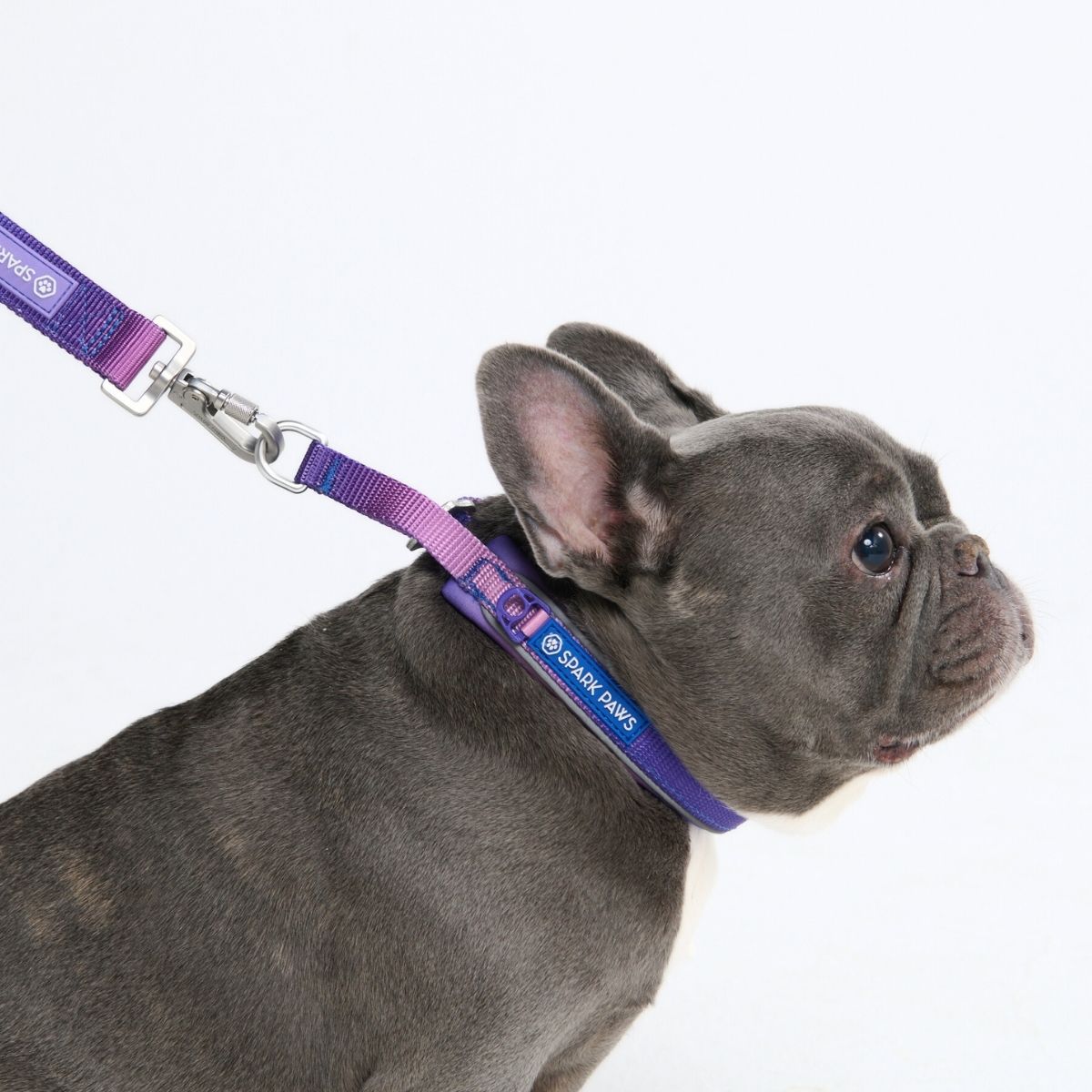 Martingale Collar - 90s Retro