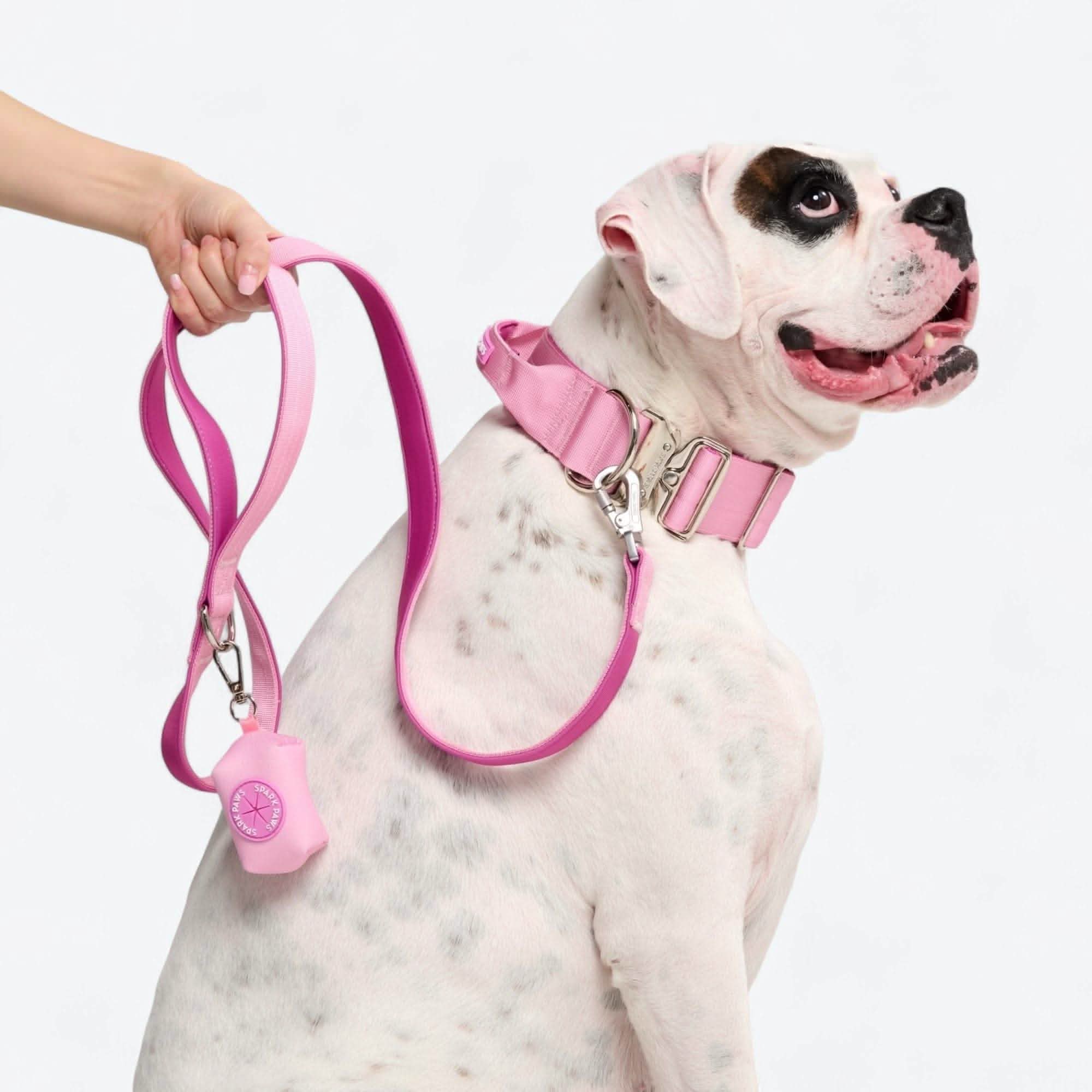 Leash and Poop Bag Holder Set