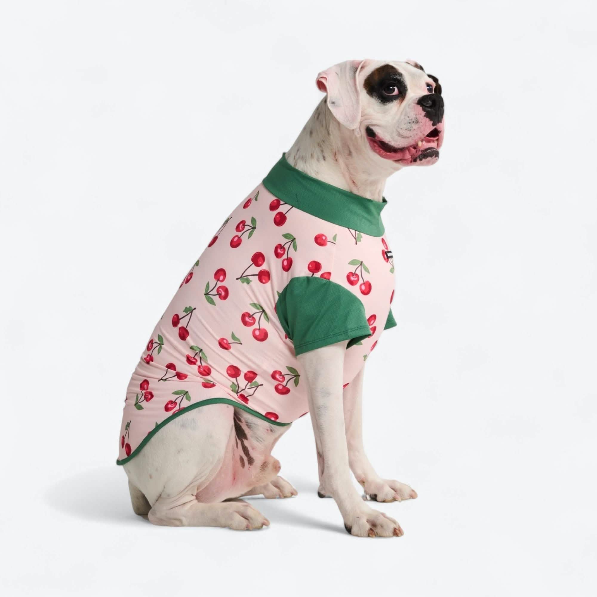 Sunblock Dog T-Shirt - Fruit Print