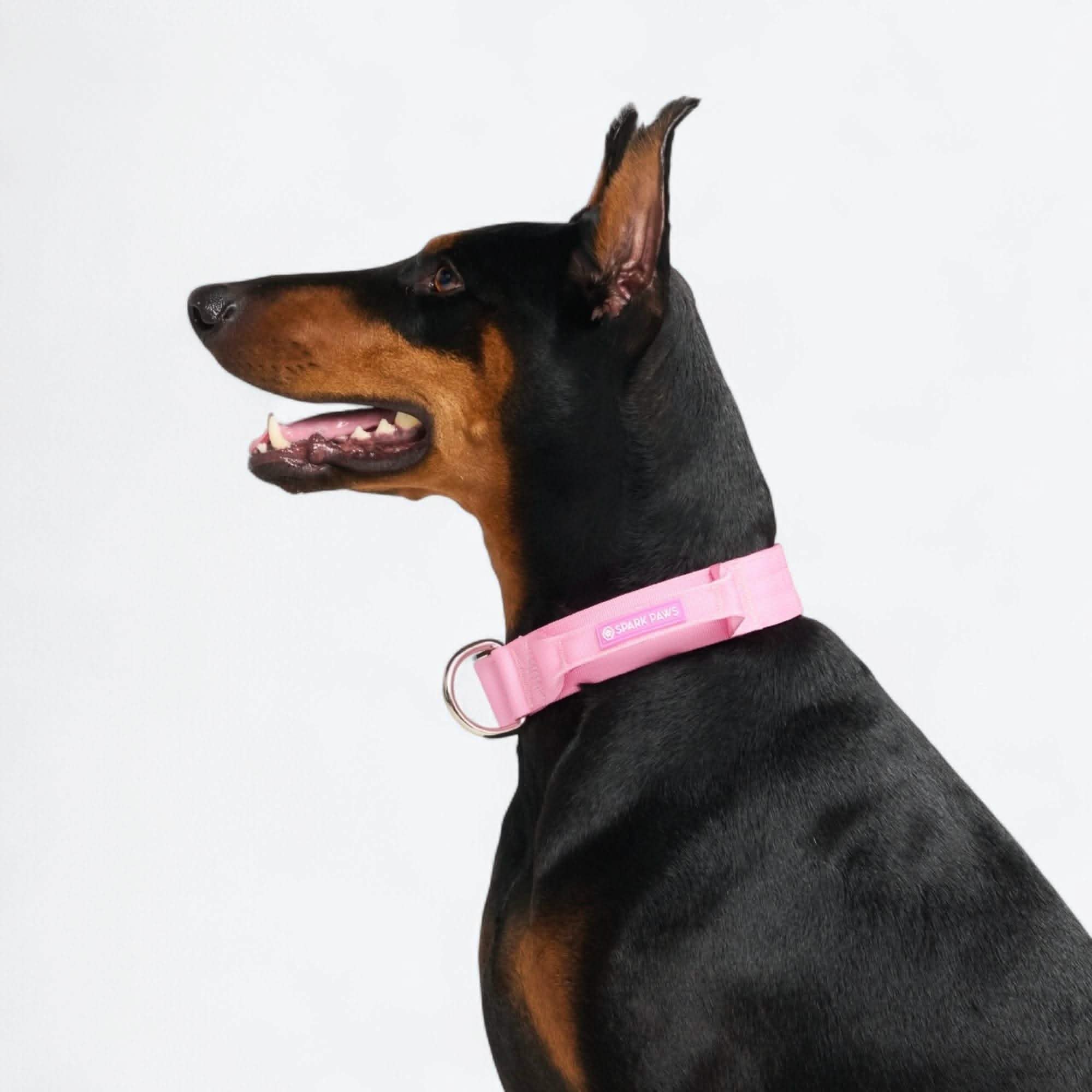 Comfort Control Dog Collar Sets