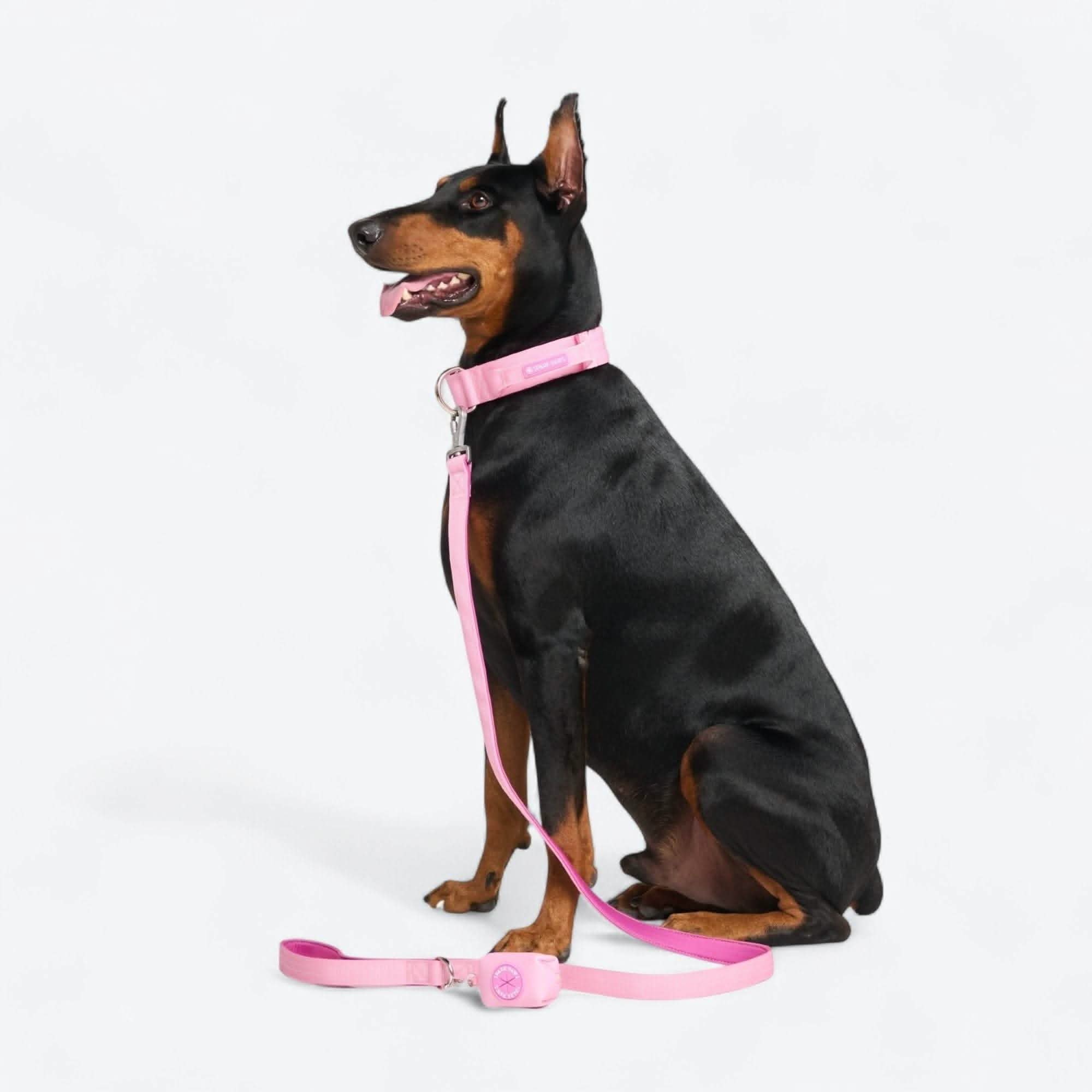 Leash and Poop Bag Holder Set