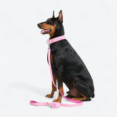 Leash and Poop Bag Holder Set - Pink