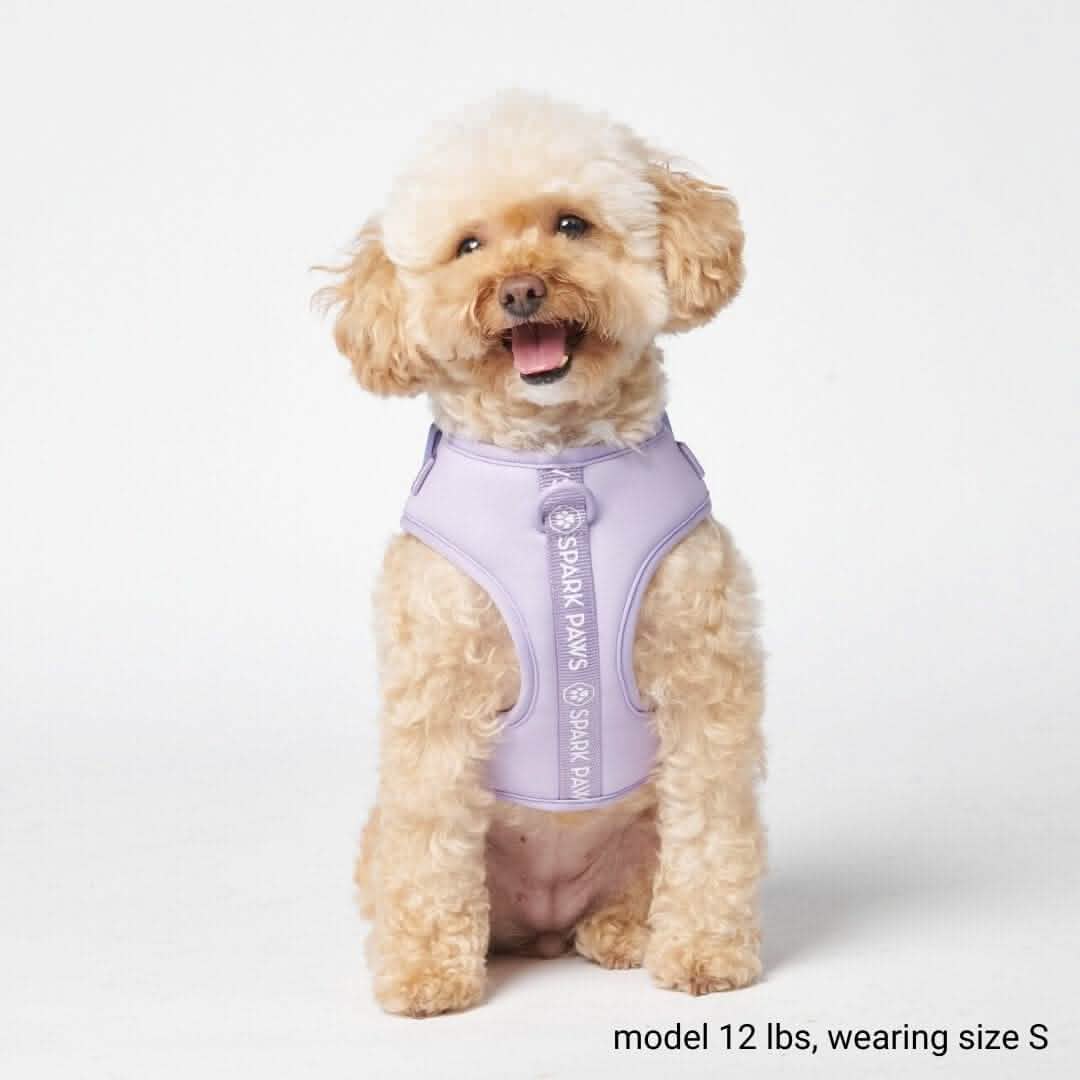 Ultra-Soft Activewear Harness (Multi Color)