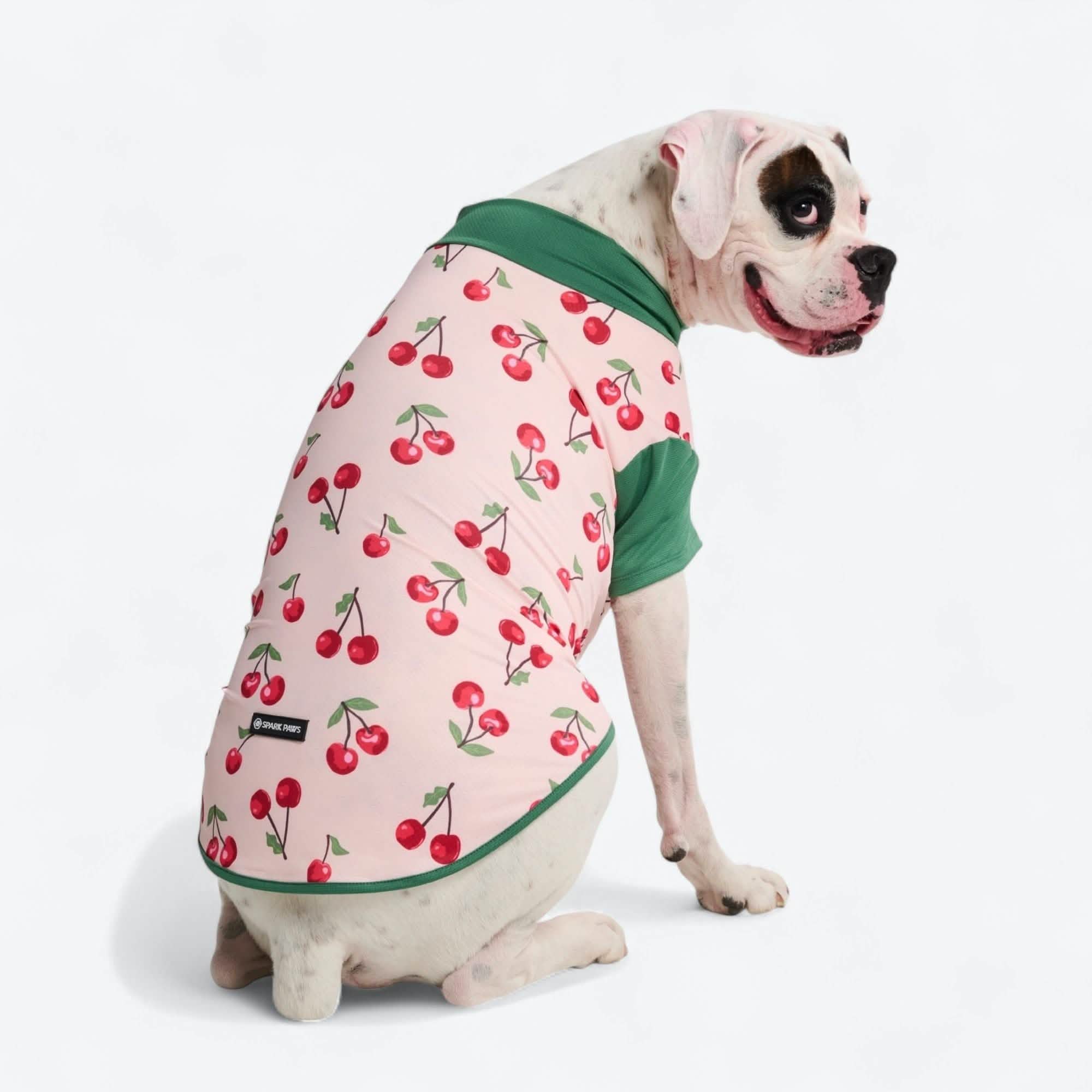 Sunblock Dog T-Shirt - Fruit Print