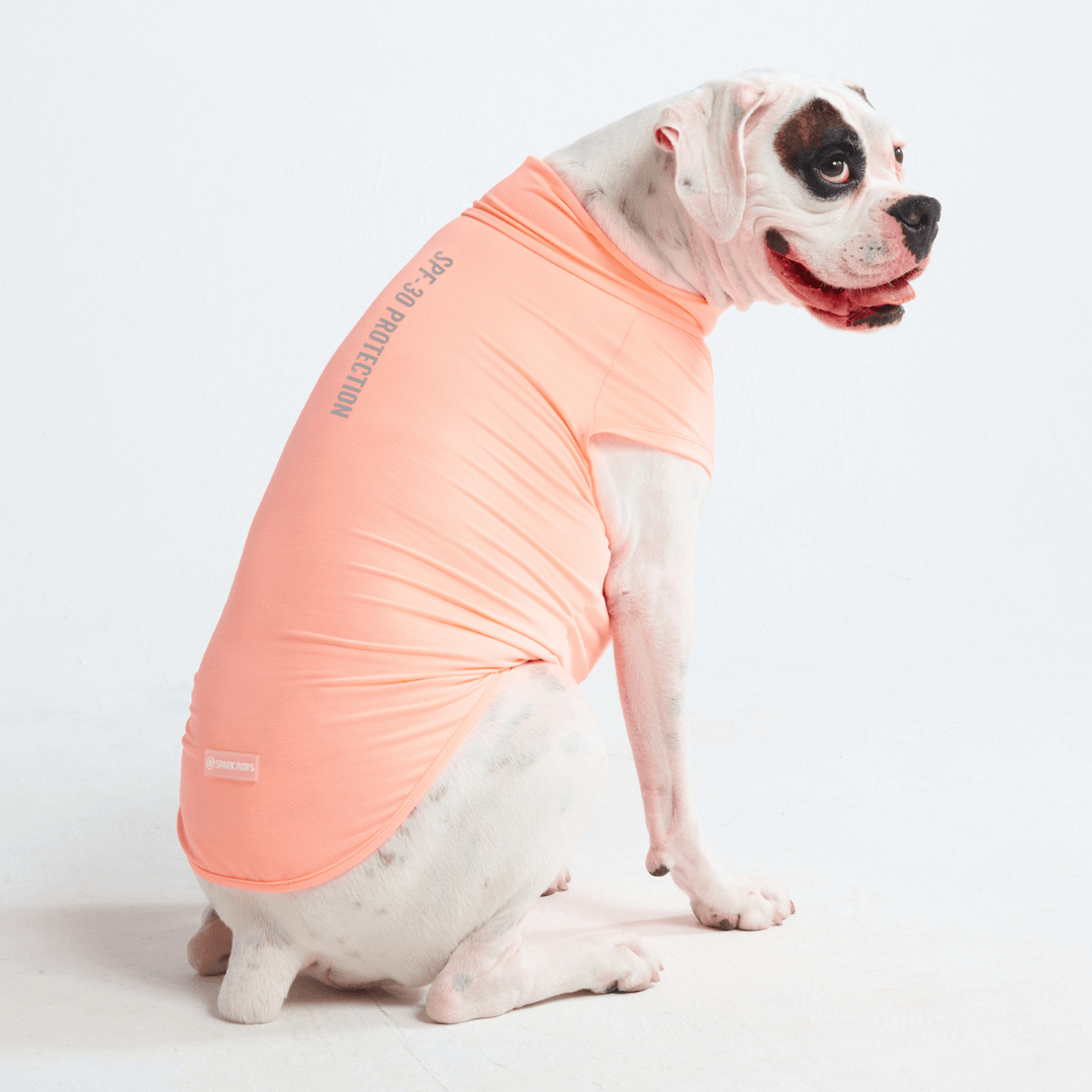Sunblock Dog T-Shirts