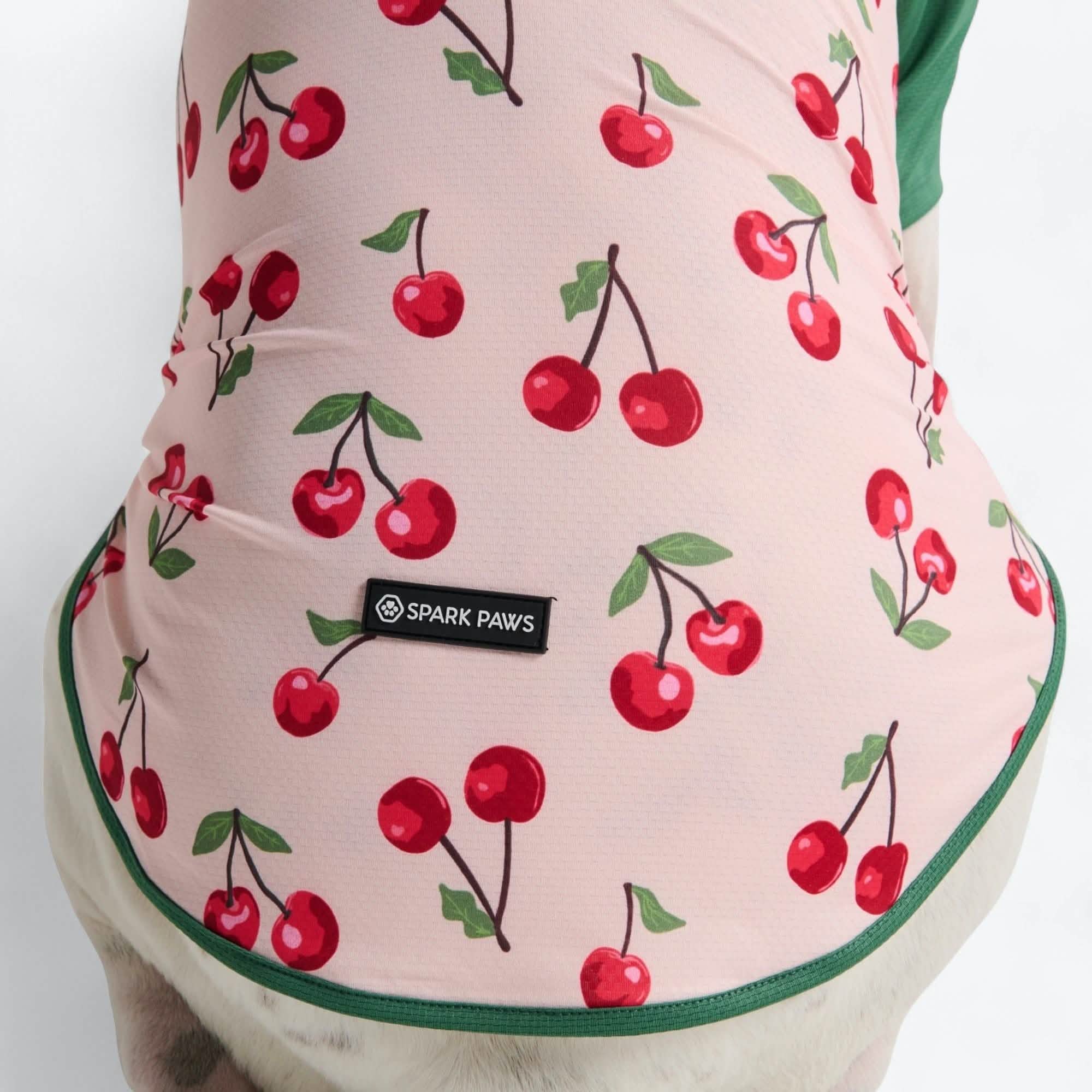 Sunblock Dog T-Shirt - Fruit Print