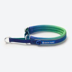 Martingale Collar - Lime Wave