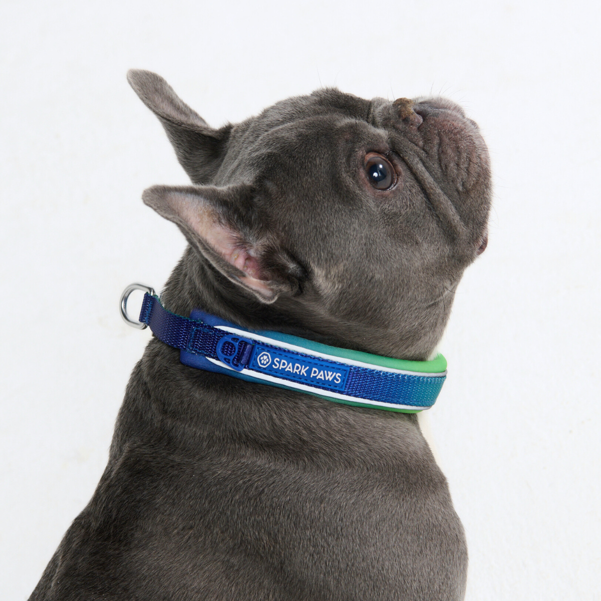 Martingale Dog Collars