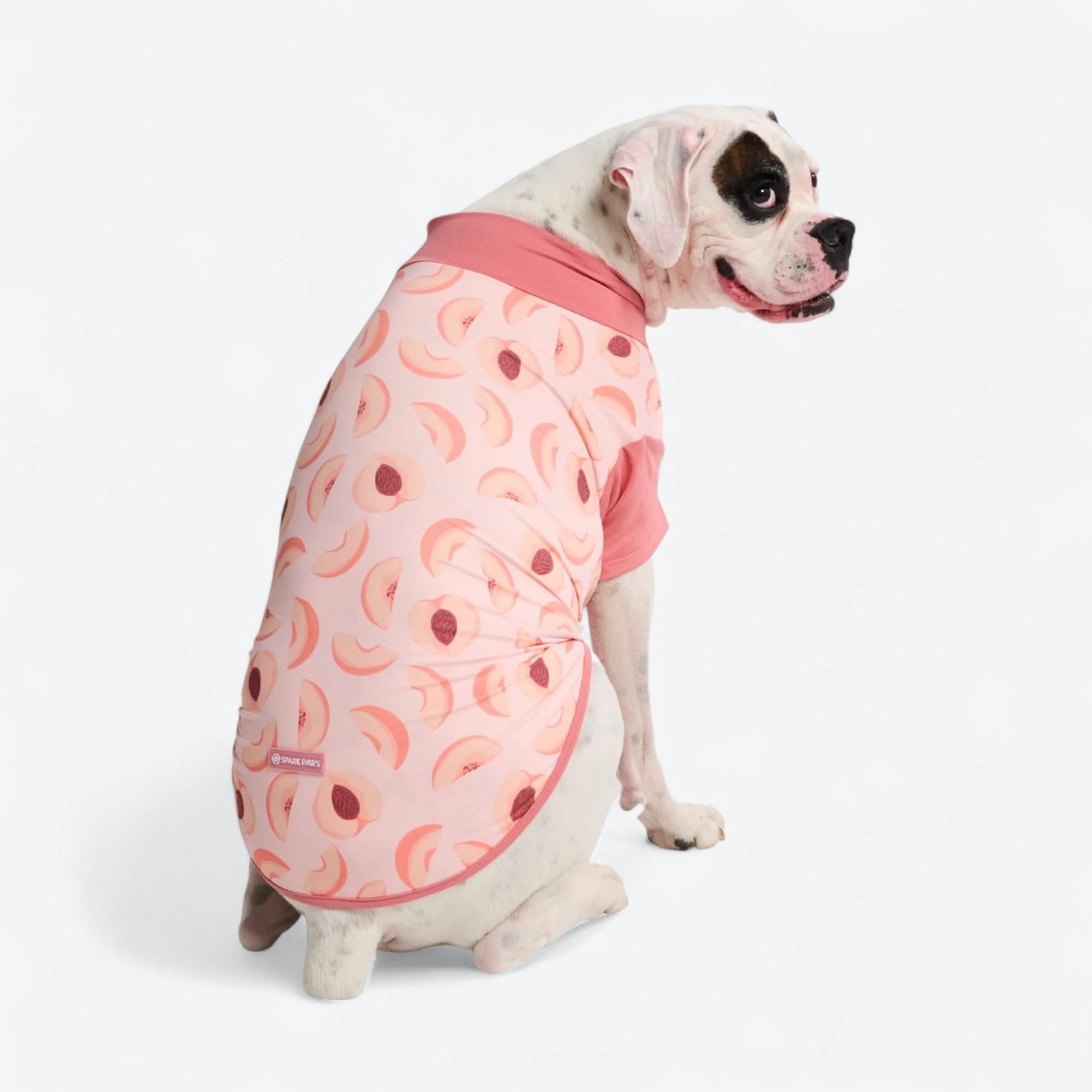 Sunblock Dog T-Shirt - Fruit Print