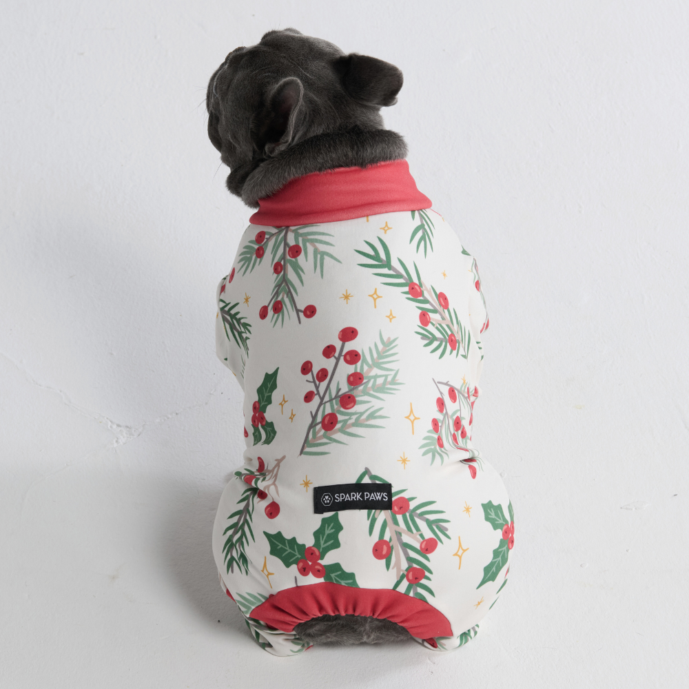 Dog Christmas Pajama - Mistletoe