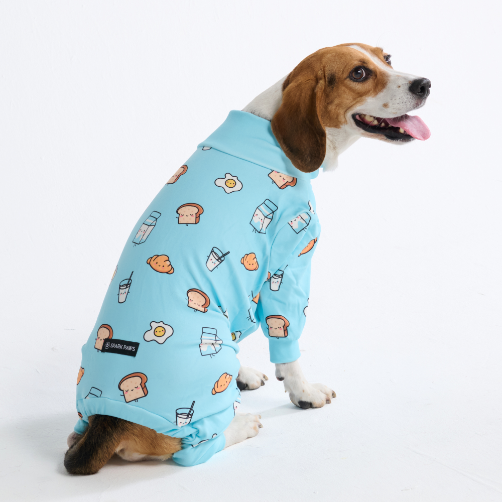 Dog Pajama Prints