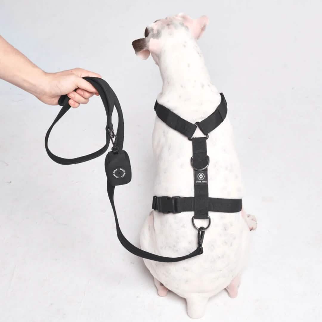 Leash and Poop Bag Holder Set