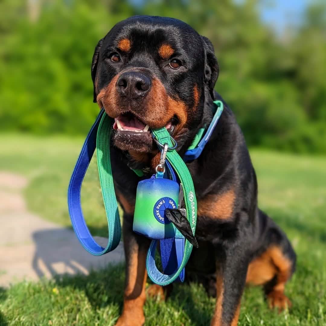 Leash and Poop Bag Holder Set