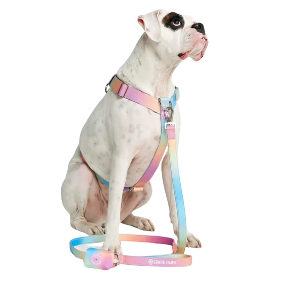 Leash and Poop Bag Holder Set