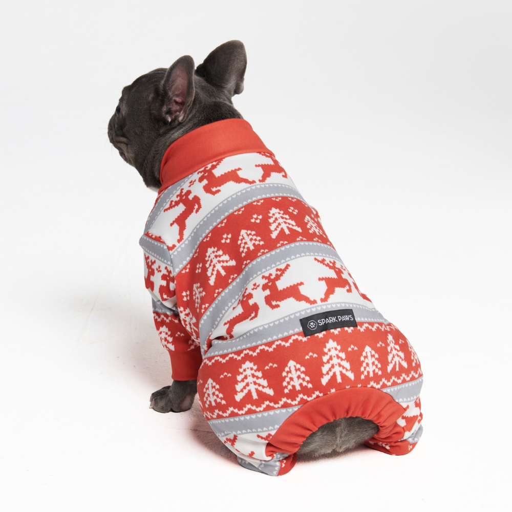 Dog Christmas Pajama - Winter Wonderland