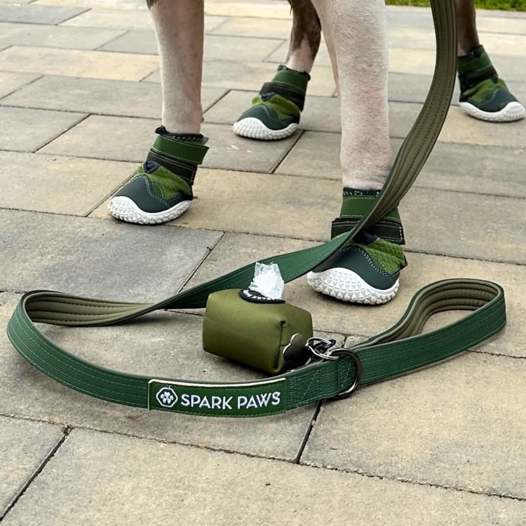 Leash and Poop Bag Holder Set